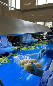 photo_2024-10-31_08-58-56