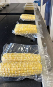 photo_2024-10-31_08-58-57